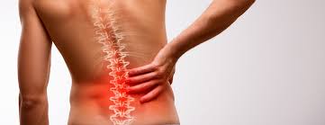 Back Pain Picture